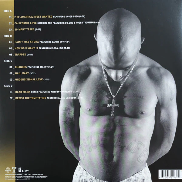 2Pac - The Best Of 2Pac - Part 1: Thug (2xLP, Comp, Ltd, RE, Gol) (Near Mint (NM or M-)) - Image 4