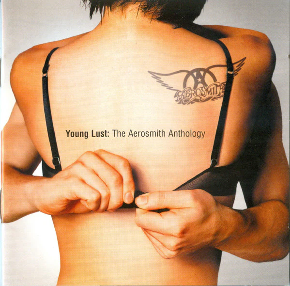 Aerosmith - Young Lust: The Aerosmith Anthology (2xCD, Comp) (Very Good Plus (VG+))