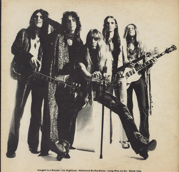 Alice Cooper - Love It To Death (LP, Album, RE, Pit) (Very Good Plus (VG+)) - Image 3
