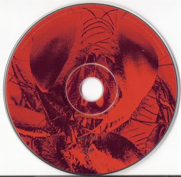 Alice In Chains - Jar Of Flies (CD, EP, No ) (Very Good Plus (VG+)) - Image 3