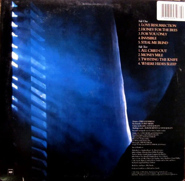 Alison Moyet - Alf (LP, Album, Pit) (Very Good Plus (VG+)) - Image 2