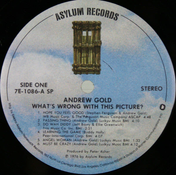 Andrew Gold - What's Wrong With This Picture? (LP, Album, SP ) (Near Mint (NM or M-)) (Copy) - Image 3