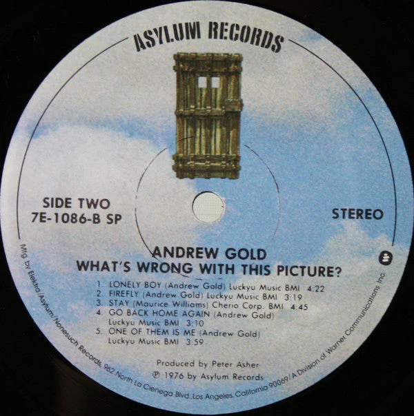 Andrew Gold - What's Wrong With This Picture? (LP, Album, SP ) (Near Mint (NM or M-)) (Copy) - Image 4