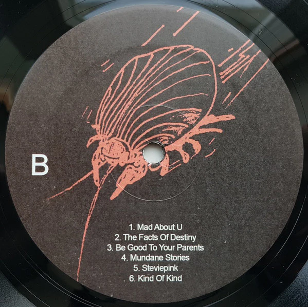 Ariel Pink's Haunted Graffiti - Odditties Sodomies Vol. 3 (LP, Comp) (Mint (M)) - Image 5