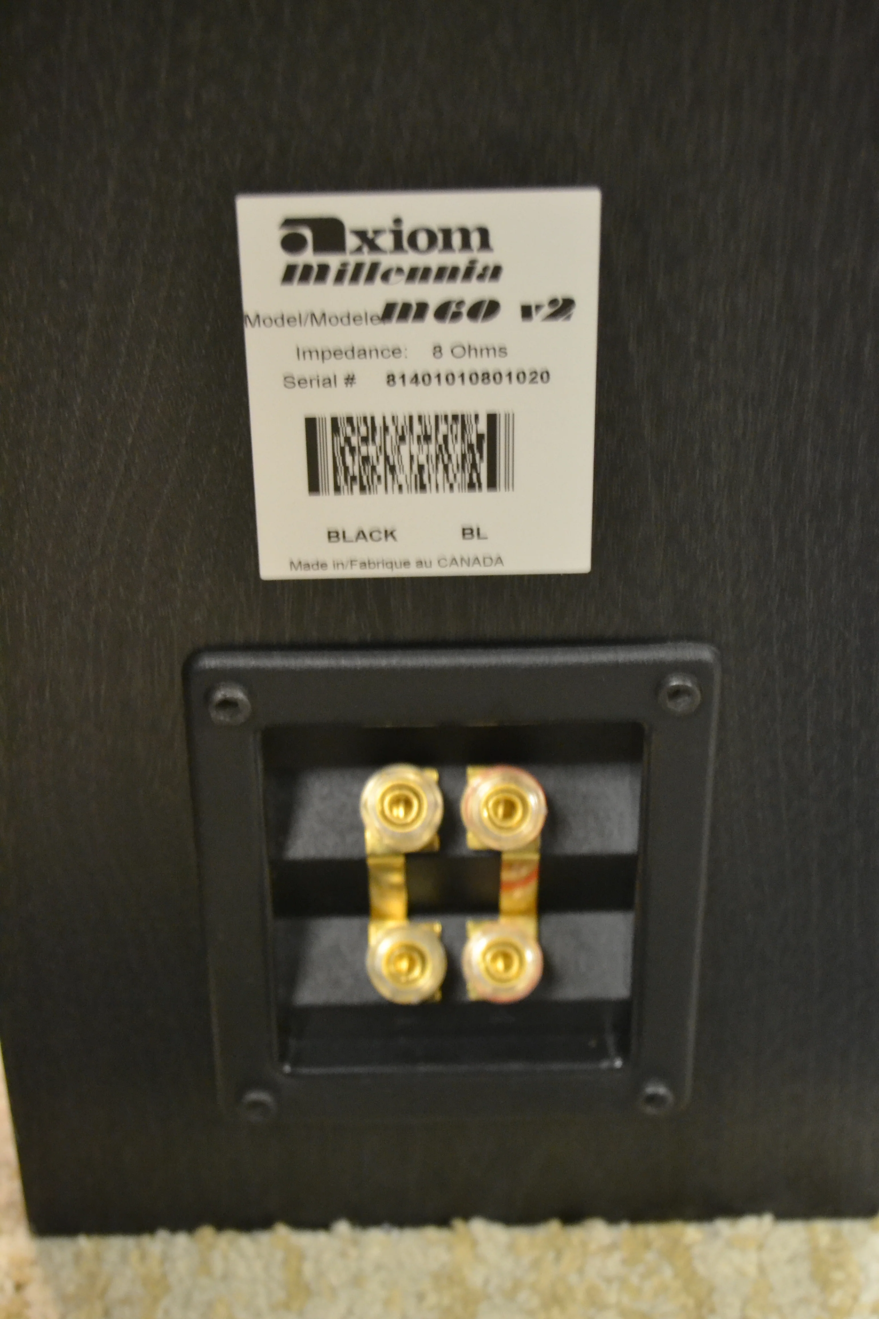 Axiom Millennia M60 V2 Floor Standing Speakers - Image 10