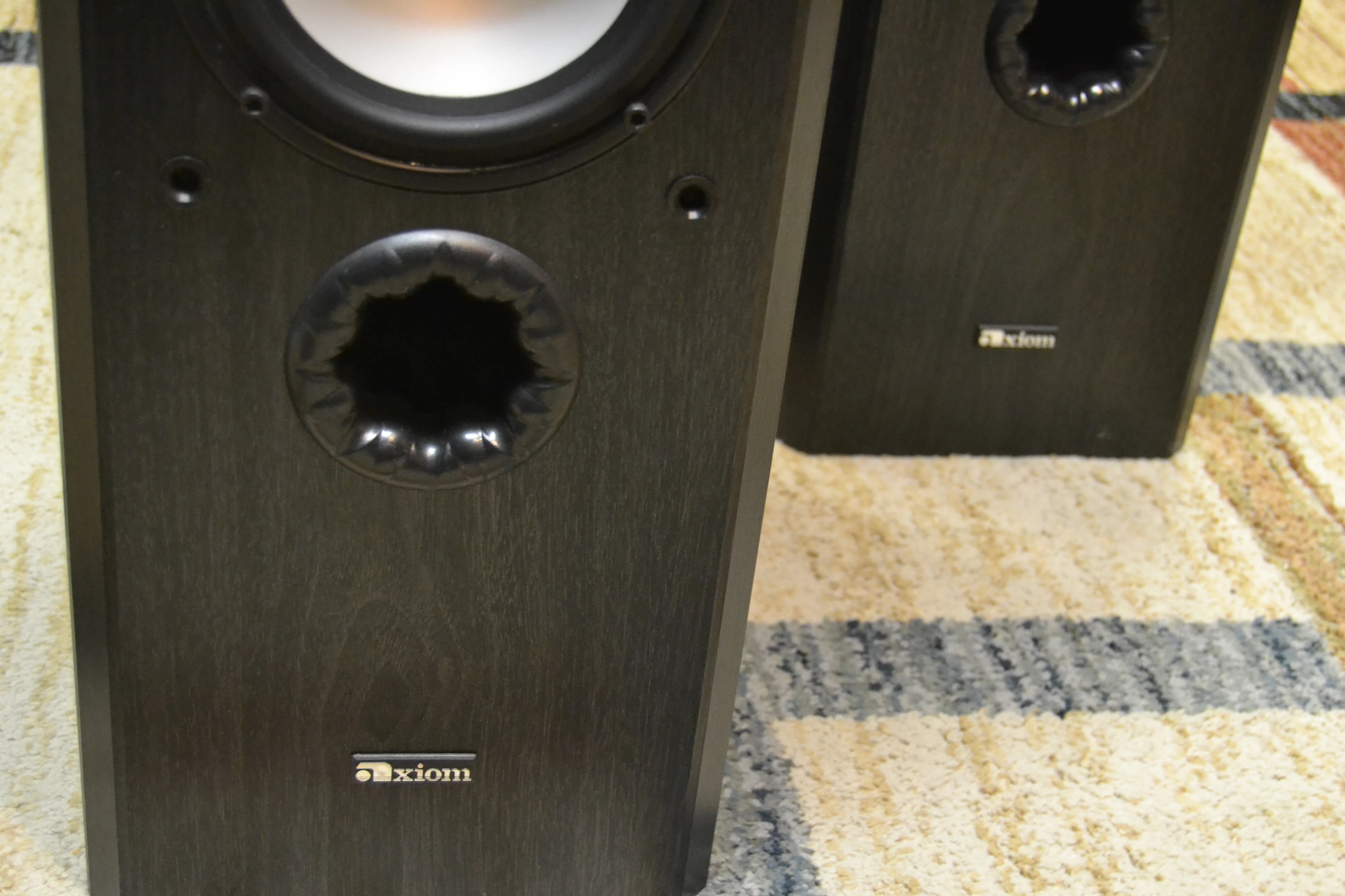 Axiom Millennia M60 V2 Floor Standing Speakers - Image 5