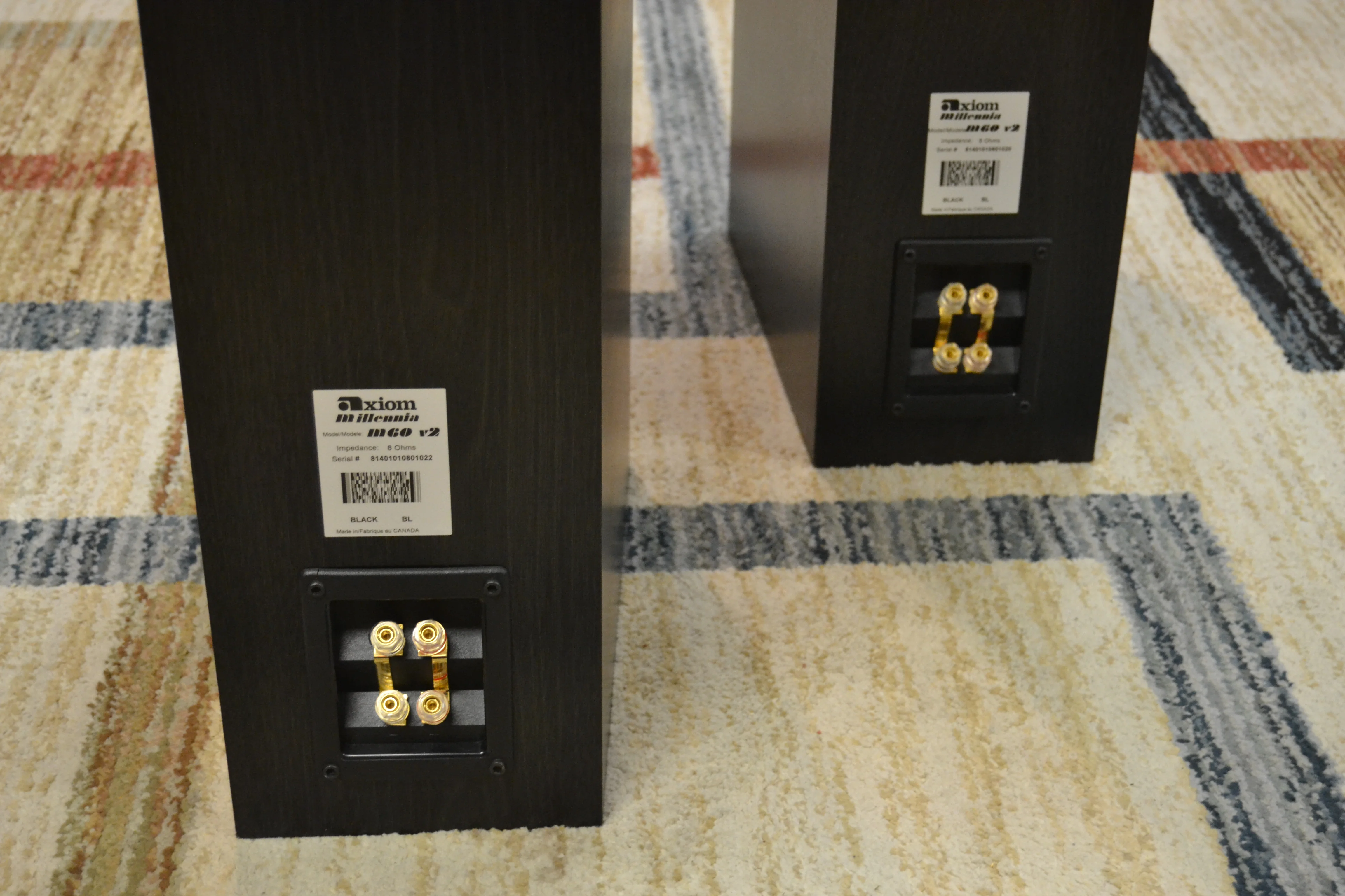 Axiom Millennia M60 V2 Floor Standing Speakers - Image 8