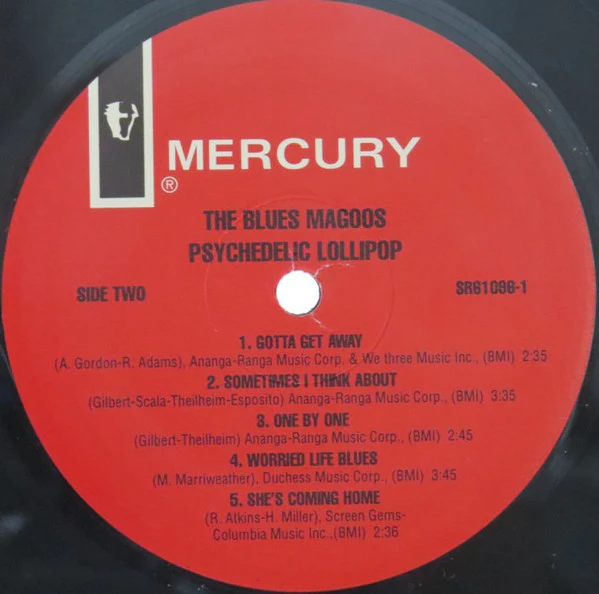Blues Magoos - Psychedelic Lollipop (LP, Album, RE) (Mint (M)) NEW & SEALED - Image 4