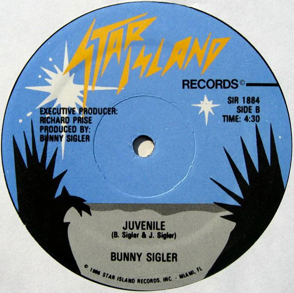 Bunny Sigler - What Would You Do Without Love (12") (Near Mint (NM or M-)) - Image 2