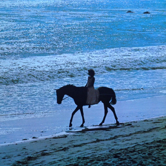 Carole King - Thoroughbred (LP, Album, Pit) (Very Good Plus (VG+)) - Image 5
