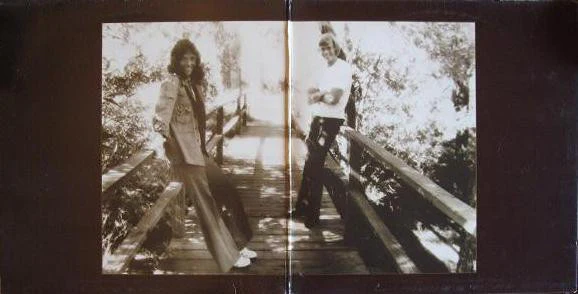 Carpenters - The Singles 1969-1973 (LP, Comp, Club, RE, Ind) (Very Good (VG)) - Image 2