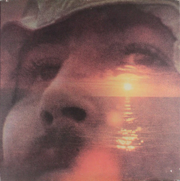 David Crosby - If I Could Only Remember My Name (LP, Album, Club) (Very Good Plus (VG+))