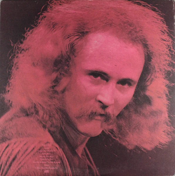 David Crosby - If I Could Only Remember My Name (LP, Album, Club) (Very Good Plus (VG+)) - Image 2