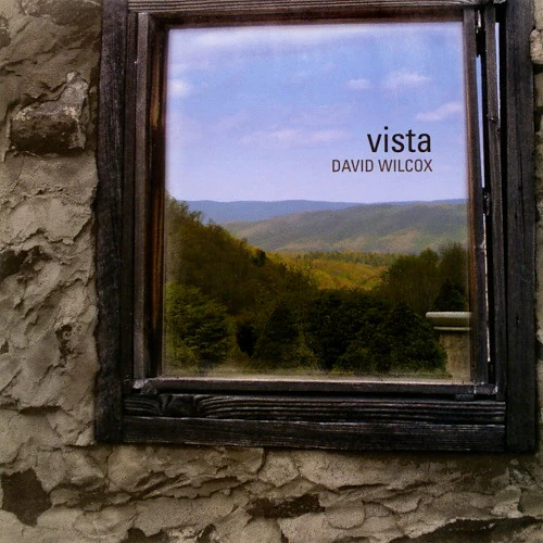 David Wilcox - Vista (CD, Album) (Near Mint (NM or M-))