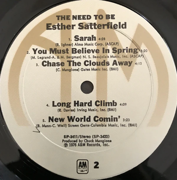 Esther Satterfield - The Need To Be (LP, Album) (Very Good Plus (VG+)) - Image 4