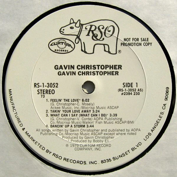 Gavin Christopher - Gavin Christopher (LP, Album, Promo) (Near Mint (NM or M-)) - Image 3
