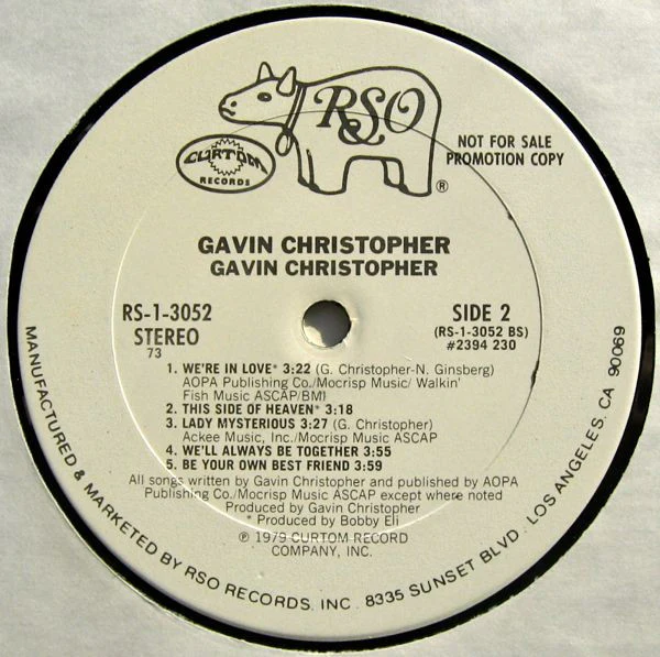 Gavin Christopher - Gavin Christopher (LP, Album, Promo) (Near Mint (NM or M-)) - Image 4
