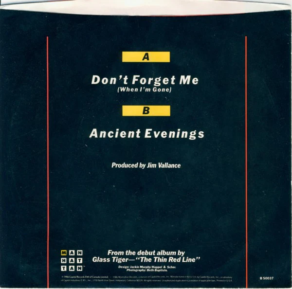 Glass Tiger - Don't Forget Me (When I'm Gone) (7", Single) (Very Good Plus (VG+)) - Image 2