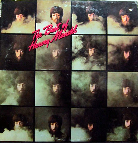 Harvey Mandel - The Best Of Harvey Mandel (LP, Comp) (Near Mint (NM or M-))