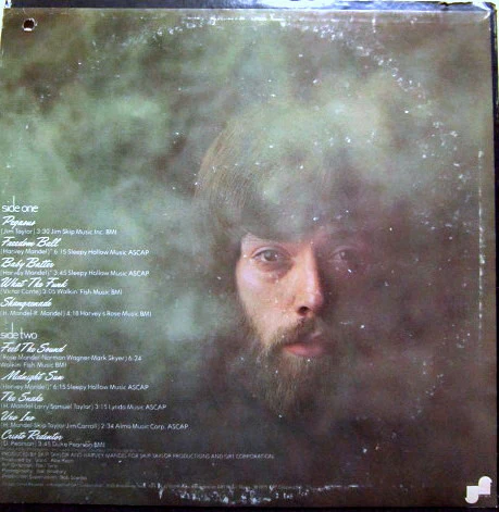 Harvey Mandel - The Best Of Harvey Mandel (LP, Comp) (Near Mint (NM or M-)) - Image 2