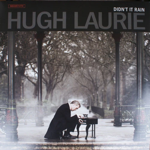 Hugh Laurie - Didn't It Rain (2xLP, Album) (Near Mint (NM or M-))