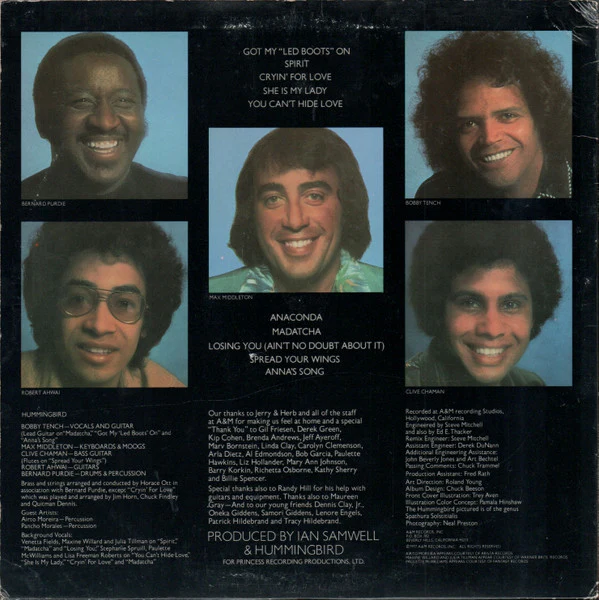 Hummingbird - Diamond Nights (LP, Album) (Very Good (VG)) - Image 2