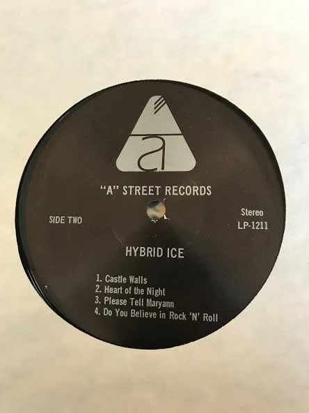 Hybrid Ice - Hybrid Ice (LP, Album) (Very Good Plus (VG+)) - Image 4