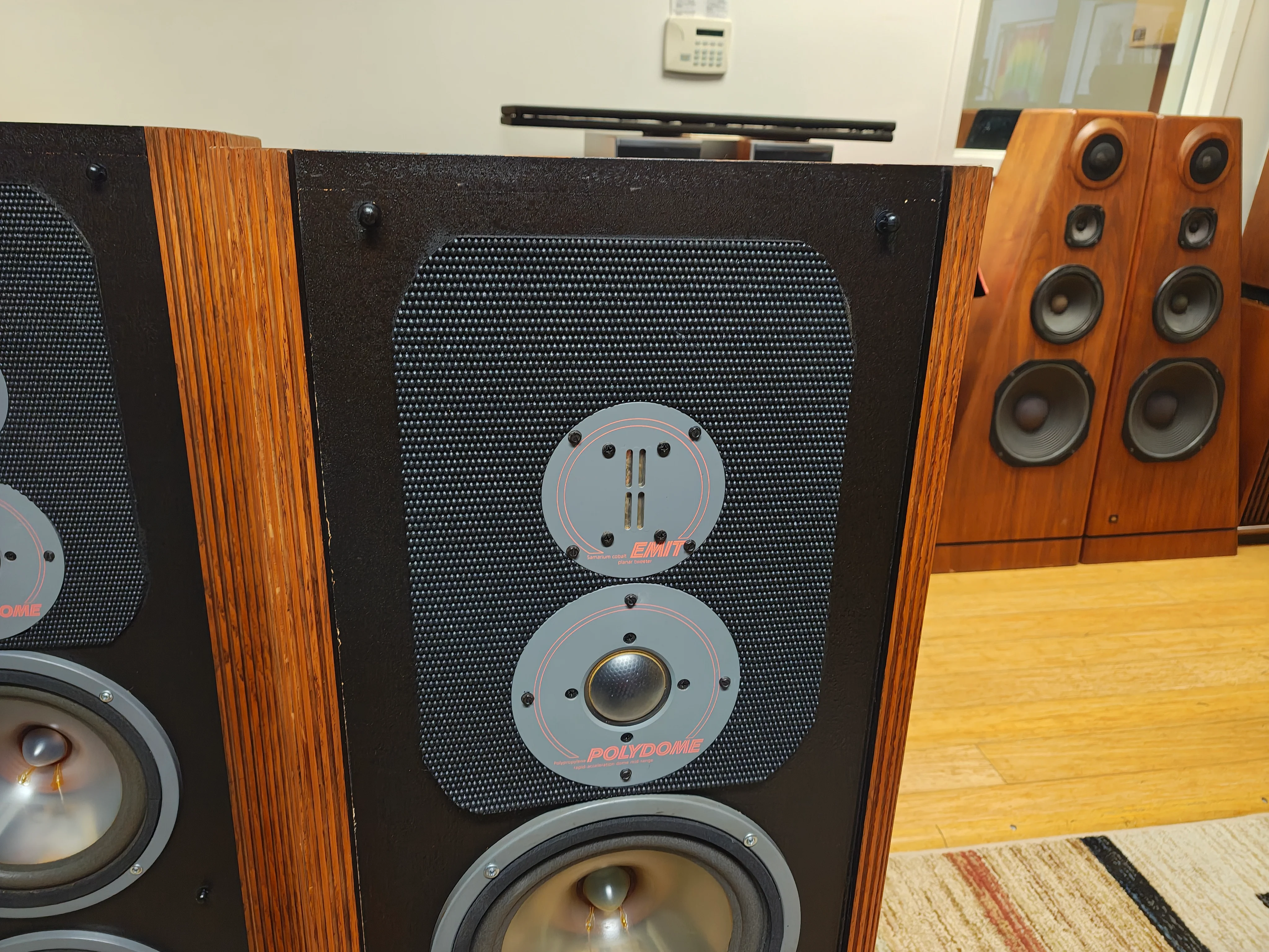 Infinity RS-IIIa Floor Standing Speakers * New Foams * - Image 12