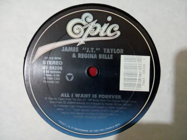 J.T. Taylor & Regina Belle - All I Want Is Forever (12") (Very Good Plus (VG+)) - Image 2