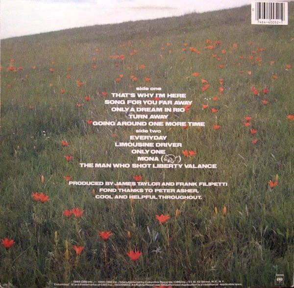 James Taylor - That's Why I'm Here (LP, Album, Pit) (Very Good Plus (VG+)) - Image 2