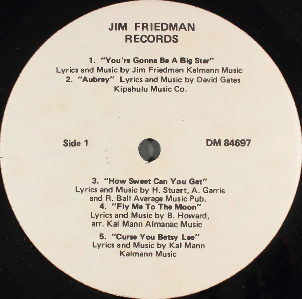 Jim Friedman - Hungry (LP) (Good Plus (G+)) - Image 3