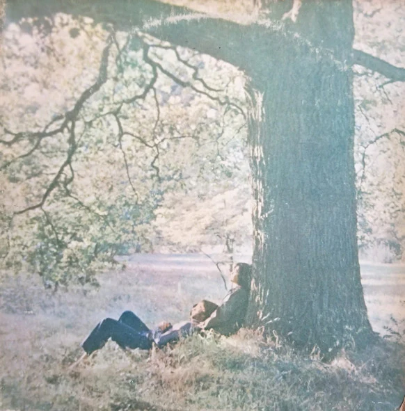 John Lennon / The Plastic Ono Band - John Lennon / Plastic Ono Band (LP, Album, Scr) (Near Mint (NM or M-))
