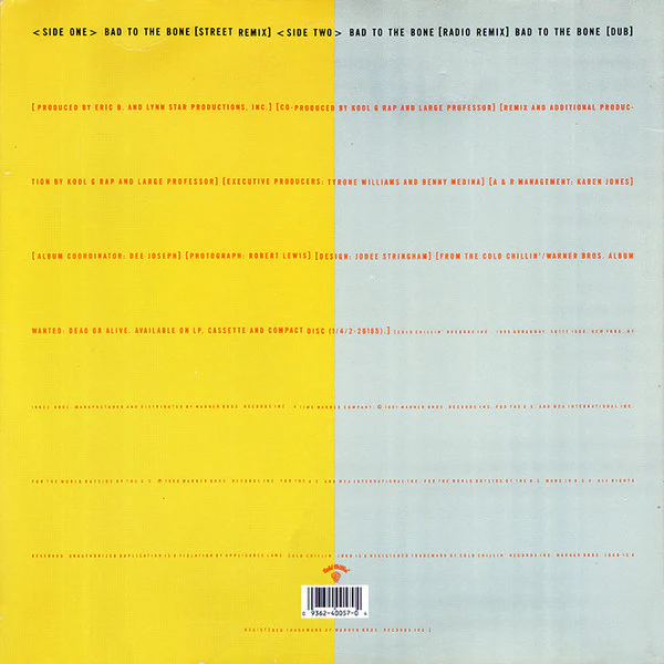 Kool G Rap & D.J. Polo - Bad To The Bone (12", Maxi) (Very Good (VG)) - Image 2