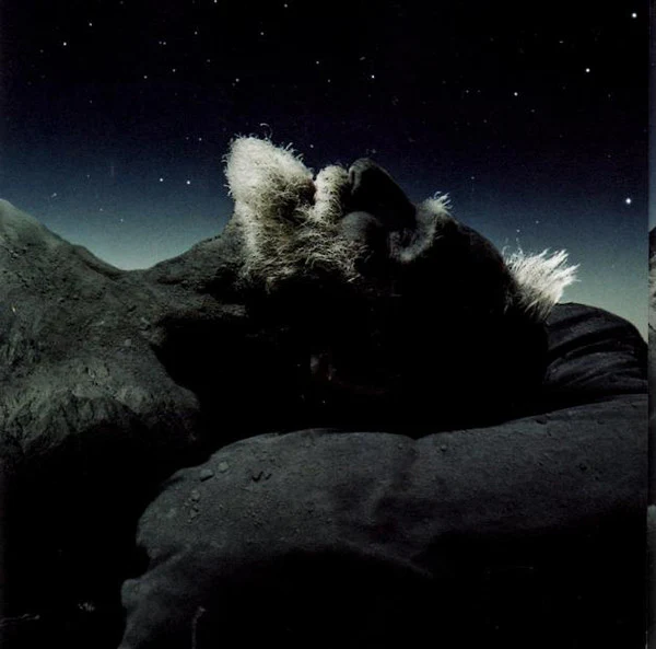 Life In Your Way - Waking Giants (CD, Album) (Near Mint (NM or M-)) - Image 5