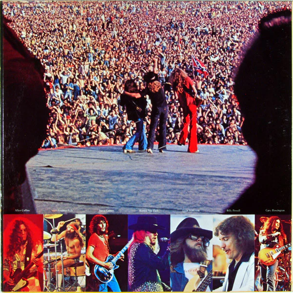 Lynyrd Skynyrd - Skynyrd's First And... Last (LP, Album, Pin) (Very Good Plus (VG+)) - Image 4