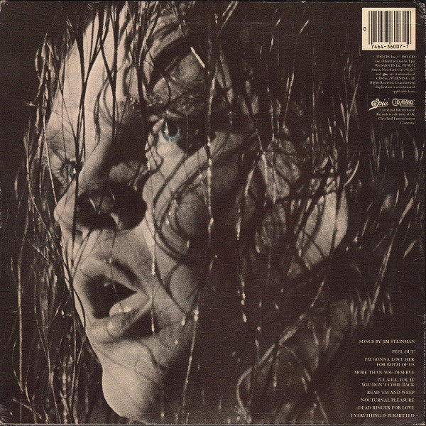 Meat Loaf - Dead Ringer (LP, Album, Ter) (Very Good Plus (VG+)) - Image 2
