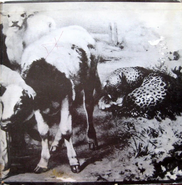 Mott The Hoople - Mad Shadows (LP, Album, PR ) (Very Good Plus (VG+)) - Image 3