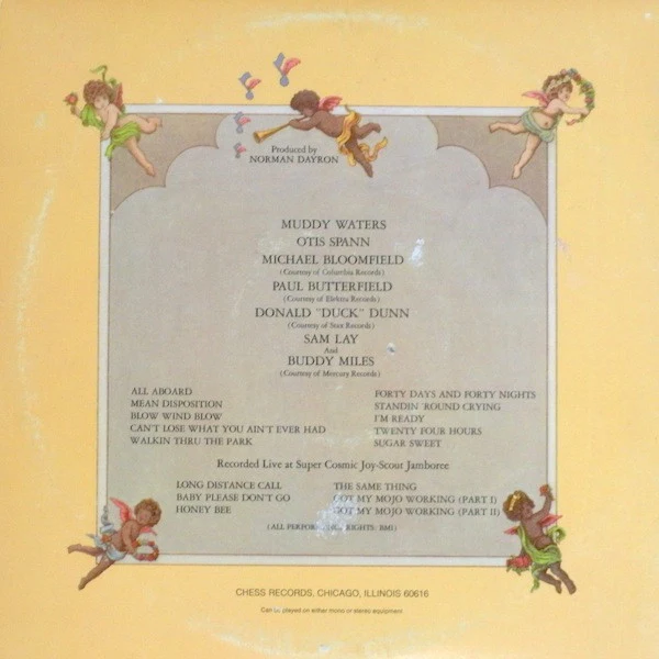 Muddy Waters / Otis Spann / Mike Bloomfield / Paul Butterfield / Donald "Duck" Dunn / Sam Lay And Buddy Miles - Fathers And Sons (2xLP, Album, Ter) (Near Mint (NM or M-)) - Image 4