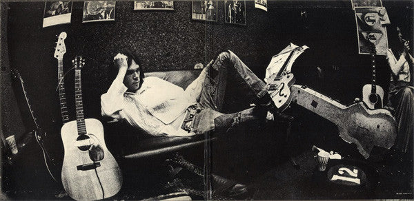 Neil Young - After The Gold Rush (LP, Album, Pit) (Very Good Plus (VG+)) - Image 5