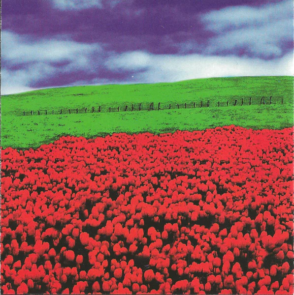 Oleander - February Son (CD, Album) (Very Good Plus (VG+)) - Image 2