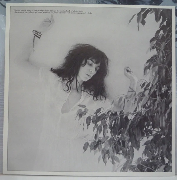 Patti Smith Group - Wave (LP, Album, Hub) (Very Good Plus (VG+)) - Image 5