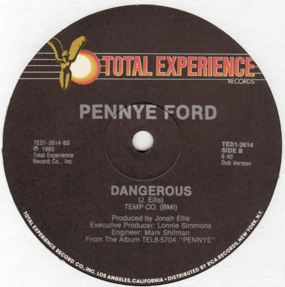 Penny Ford - Dangerous (12") (Mint (M)) - Image 2