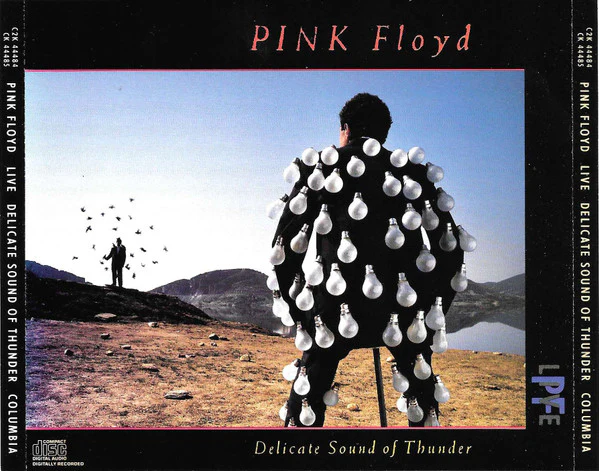 Pink Floyd - Delicate Sound Of Thunder (2xCD, Album, JVC) (Very Good Plus (VG+)) - Image 2