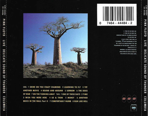 Pink Floyd - Delicate Sound Of Thunder (2xCD, Album, JVC) (Very Good Plus (VG+)) - Image 3
