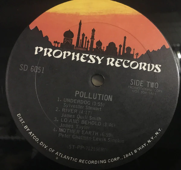 Pollution - Pollution (LP, Promo, RI ) (Near Mint (NM or M-)) - Image 5