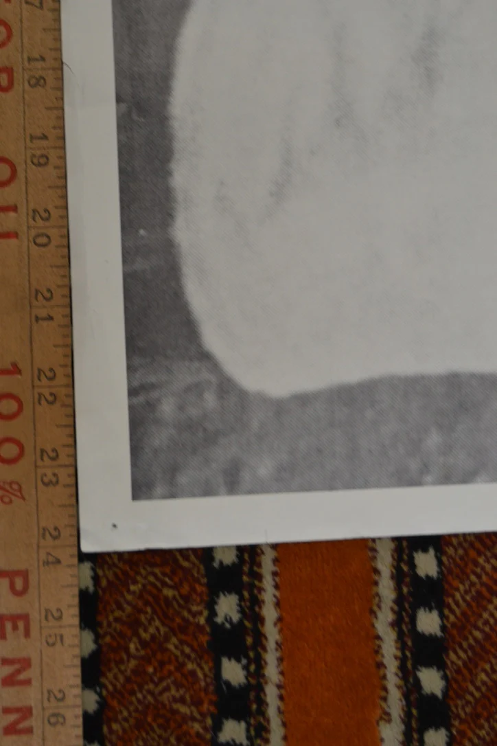 Rage Against the Machine Bullet in the Head Poster 25x35 inch - Image 5