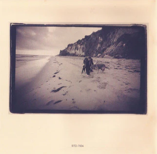 Richard Page - Shelter Me (CD, Album) (Near Mint (NM or M-)) - Image 3