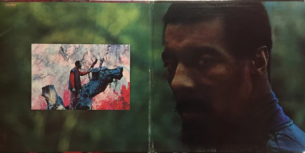 Richie Havens - Richard P. Havens, 1983 (2xLP, Album, MGM) (Near Mint (NM or M-)) - Image 2