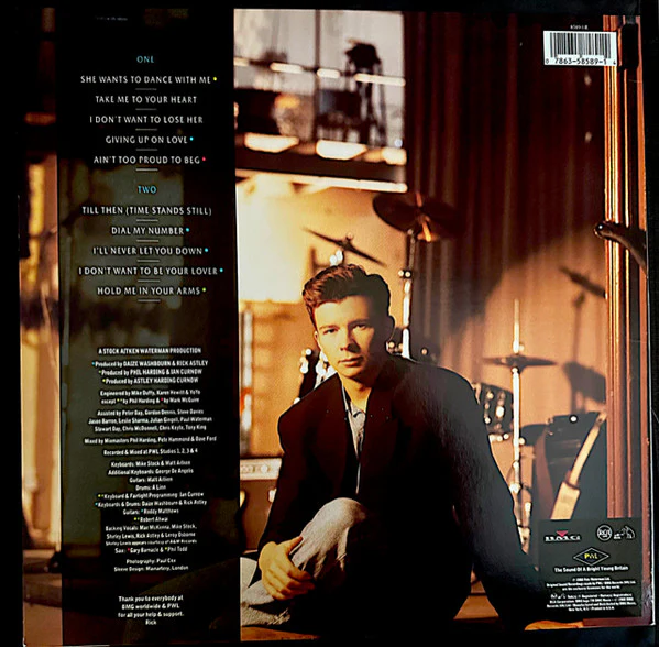Rick Astley - Hold Me In Your Arms (LP) (Near Mint (NM or M-)) - Image 2