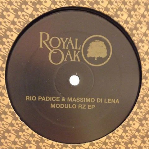 Rio Padice & Massimo Di Lena - Modulo Rz EP (12", EP) (Near Mint (NM or M-)) - Image 3